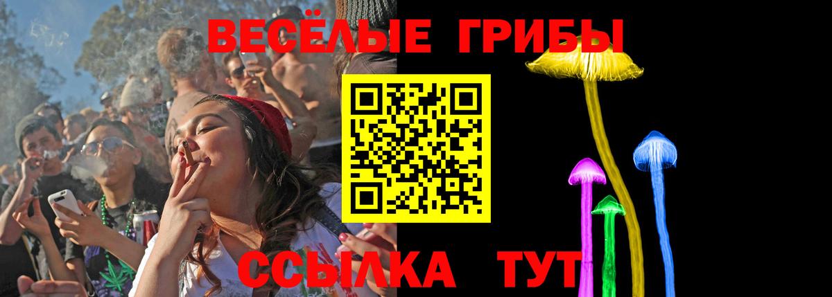 Галлюциногенные грибы Psilocybe Сызрань